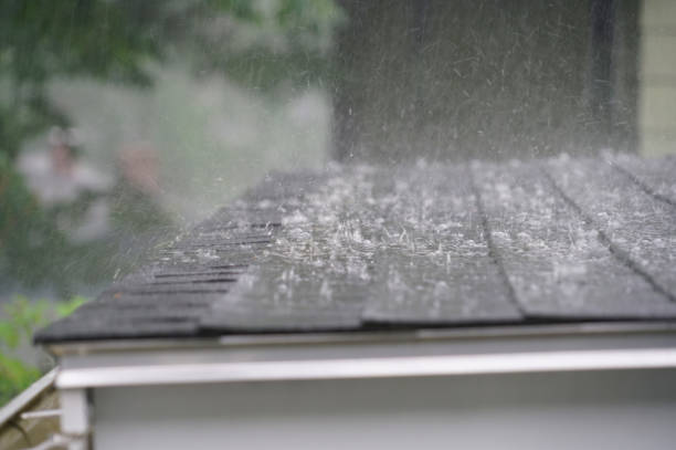 Professional Roofing Services in San Marcos, CA